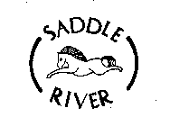 SADDLE RIVER