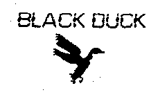 BLACK DUCK