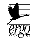 ERGO MEDIA INC.