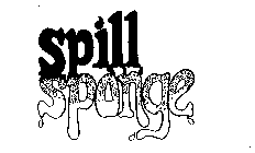 SPILL SPONGE