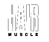 HAIR MUSCLE