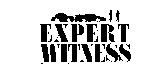 EXPERT WITNESS