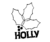 HOLLY
