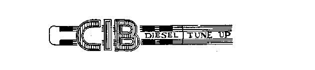 CIB DIESEL TUNE UP