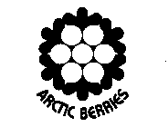 ARCTIC BERRIES