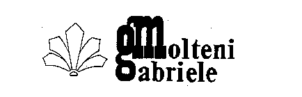 MOLTENI GABRIELE