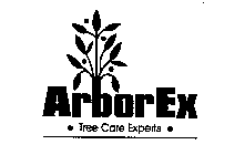 ARBOREX - TREE CARE EXPERTS -