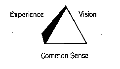 EXPERIENCE VISION COMMON SENSE