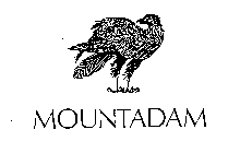 MOUNTADAM
