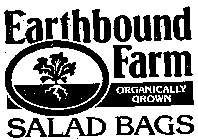 EARTHBOUND FARM ORGANICALLY GROWN SALAD BAGS