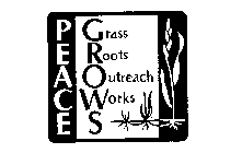 PEACE GROWS GRASS ROOTS OUTREACH WORKS
