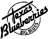 TEXAS BLUBERRIES BIG BLUES