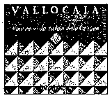 VALLOCAIA VINO ROSSO DA TAVOLA DELLA TOSCANA BINDELLA