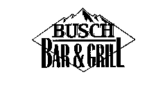 BUSCH BAR & GRILL
