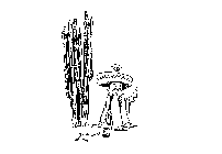 Image Trademark