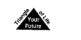TRIANGLE OF LIFE YOUR FUTURE