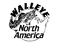 WALLEYE NORTH AMERICA