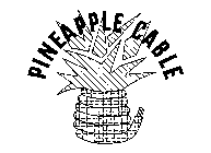 PINEAPPLE CABLE