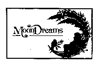 MOON DREAMS