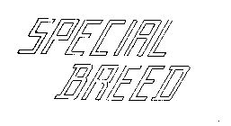 SPECIAL BREED