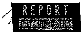 REPORT BY HERIKSEN