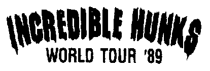 INCREDIBLE HUNKS WORLD TOUR '89