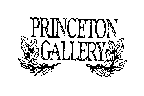 PRINCETON GALLERY