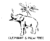 ELEPHANT & PALM TREE
