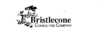 BRISTLECONE CONSULTING COMPANY