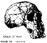 ORIGIN OF MAN KNM ER 1470 HOMO HABILIS HOMO HABLLIS IS THE NAME GIVEN TO THE FIRST KNOWN STAGE OF EARLY MAN IN THE LINE LEADING TO OURSELVES.  IT DATES TO ABOUT2 MILLION YEARS AGO.