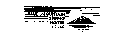 BLUE MOUNTAIN SPRING WATER