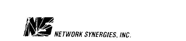 NS NETWORK SYNERGIES, INC.