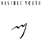VISIBLE YOUTH