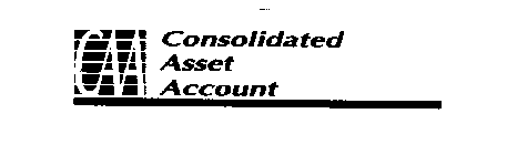 CAA CONSOLIDATED ASSET ACCOUNT