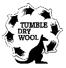 TUMBLE DRY WOOL