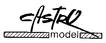 CASTRO MODEL