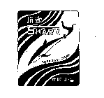 SHARK SHANGHAI CHINA