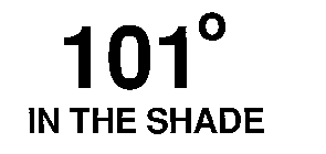101 IN THE SHADE