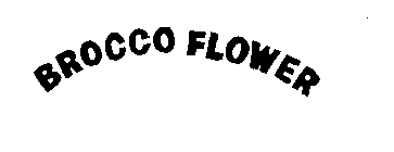 BROCCO FLOWER
