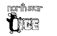 NORTH STAR ICE