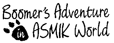 BOOMER'S ADVENTURE IN ASMIK WORLD