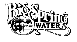 BIG SPRING WATER