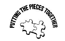 PUTTING THE PIECES TOGETHER