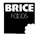 BRICE FOODS