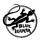 BLUE IGUANA