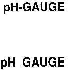 PH-GAUGE