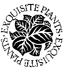 EXQUISITE PLANTS