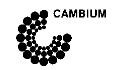 CAMBIUM