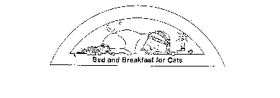 BED AND BREAKFAST FOR CATS