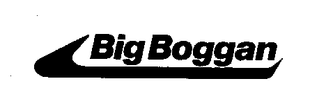 BIG BOGGAN